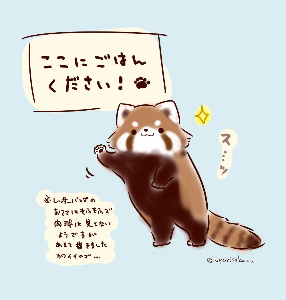 #国際レッサーパンダの日 ということで…

#ましまろうじゃない 