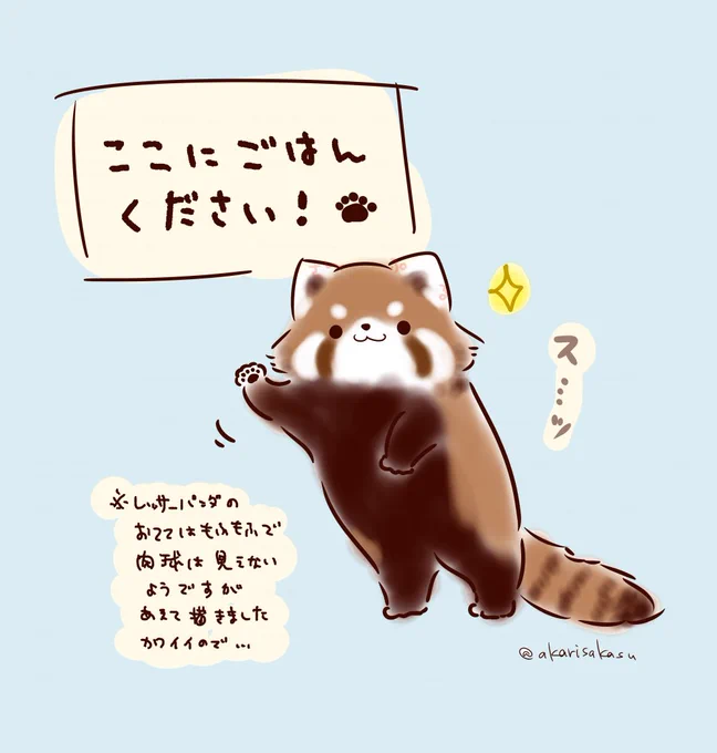 #国際レッサーパンダの日 ということで…#ましまろうじゃない 