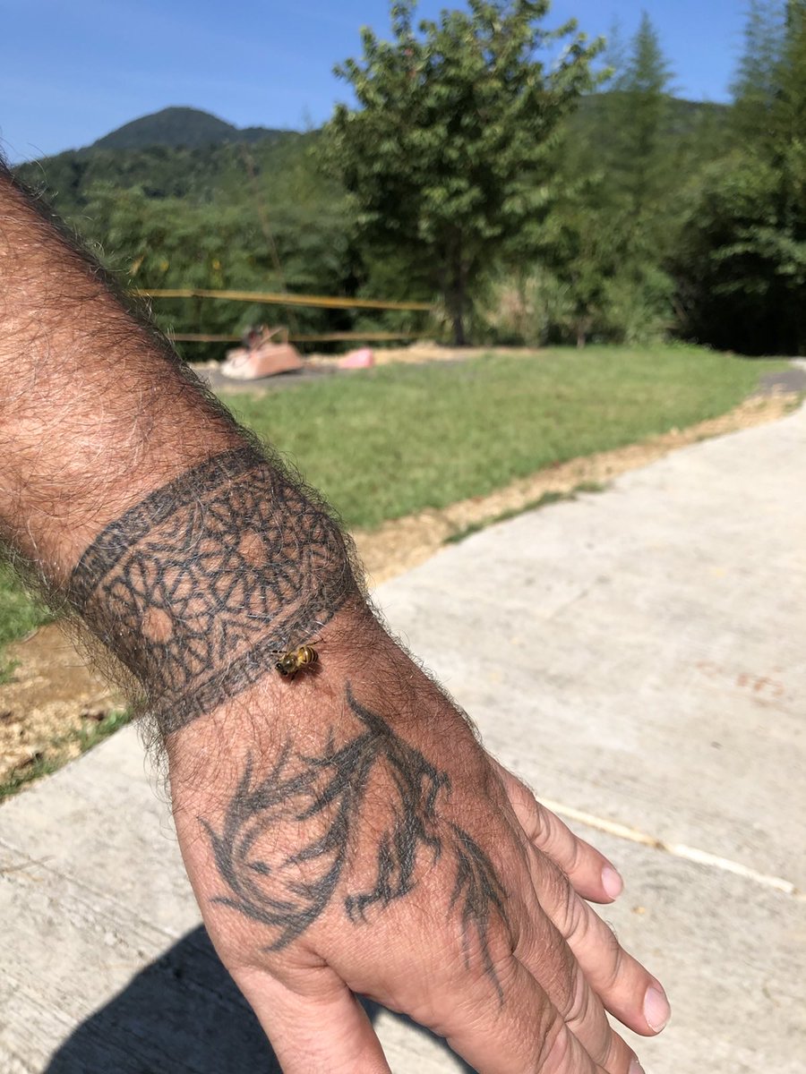 Blakrobe's tweet photo. Bees love me for some reason, I must be made of pollen #taiwan #imaflower #bees https://t.co/UiCXPGTsRh