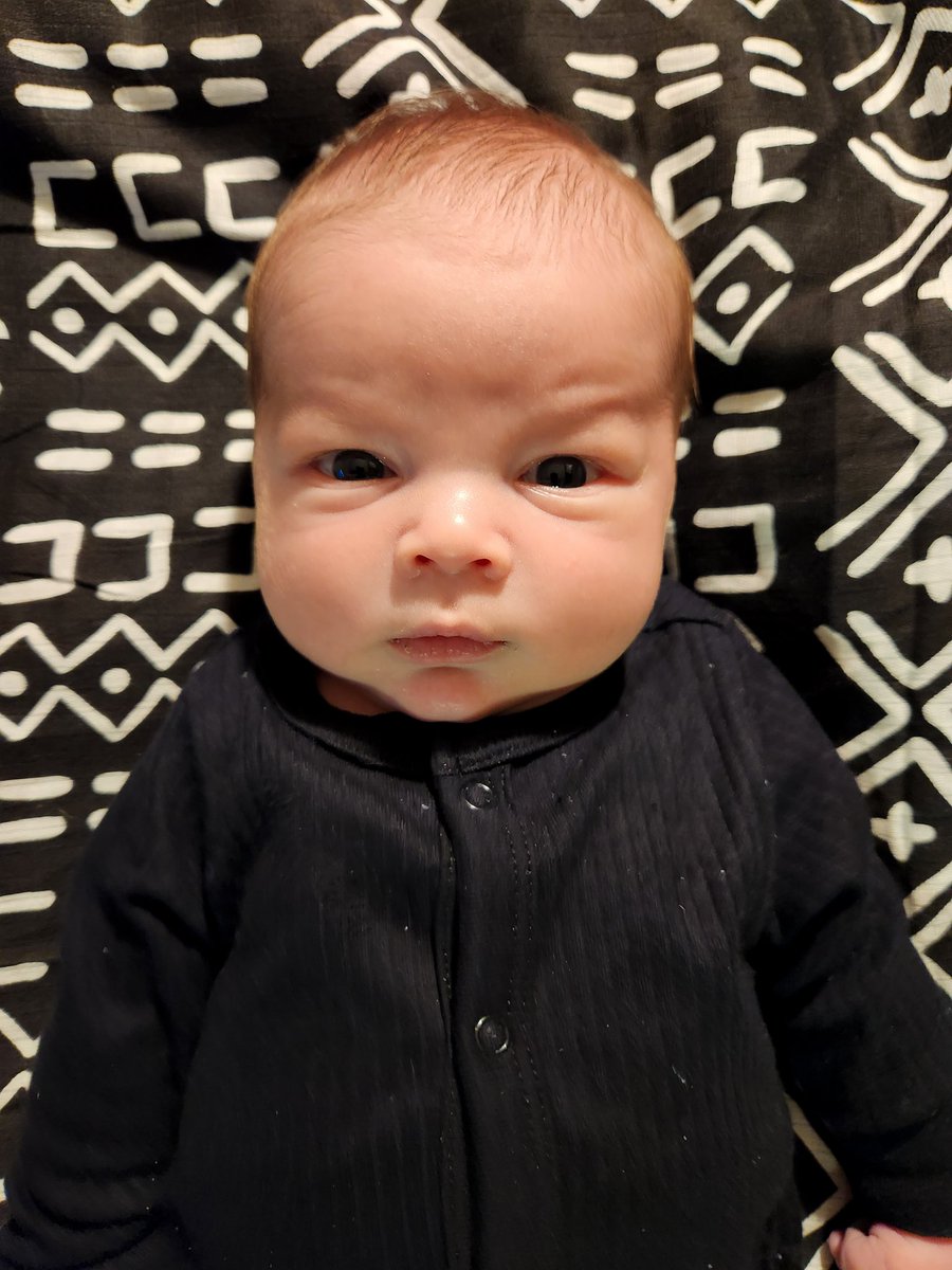 regularxnicole's tweet photo. All in all, im so extremely happy Phineas is here - happy, healthy, HUNGRY. If it wasn't for the incredible reward of seeing his cheeky smiles or hearing his content moans, I'd lose it... more than I already have. https://t.co/GI41m0KfNG