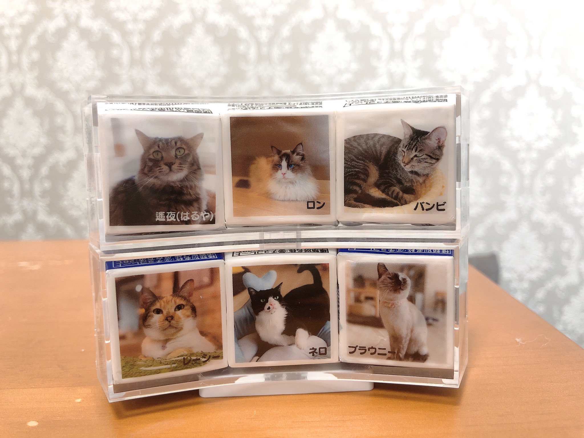 ねこカフェnewjourney Newjourney 914 Twitter