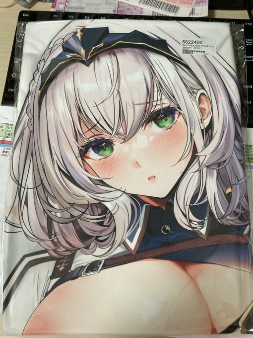 ノエル団長かわいいよね…
珍しく他所様の娘をお迎えしました。 