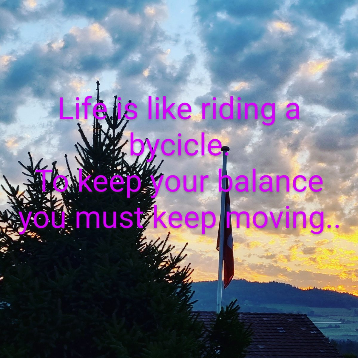 h_soulflower's tweet photo. 🌱🌻https://t.co/q4g5AFJ0f2🌻🌱

Life is like riding a bycicle.
To keep your balance you have to move🌪🙏

#alberteinstein #morningvibes #quotes #earlybird #wakeup #Mindset #deeptalk #truewords #bereal #lovelyquote https://t.co/LTqoMVVJr1