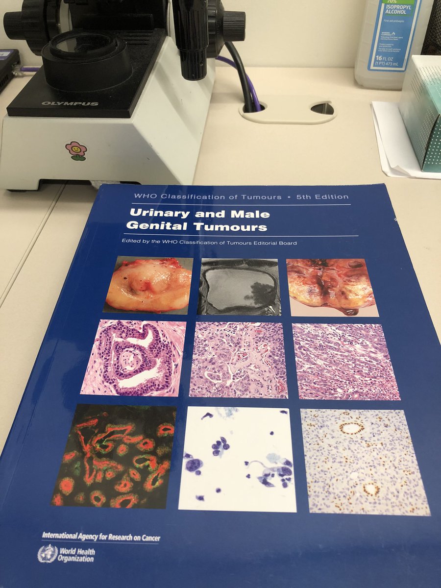 ZhouRuoji's tweet photo. @AlcinoGama @NU_Pathology Hey, we got the same book! https://t.co/2YSVpnlLhR