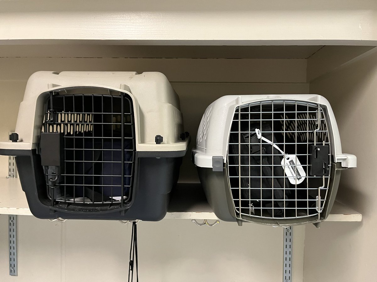 Brooke Elementary tweet media