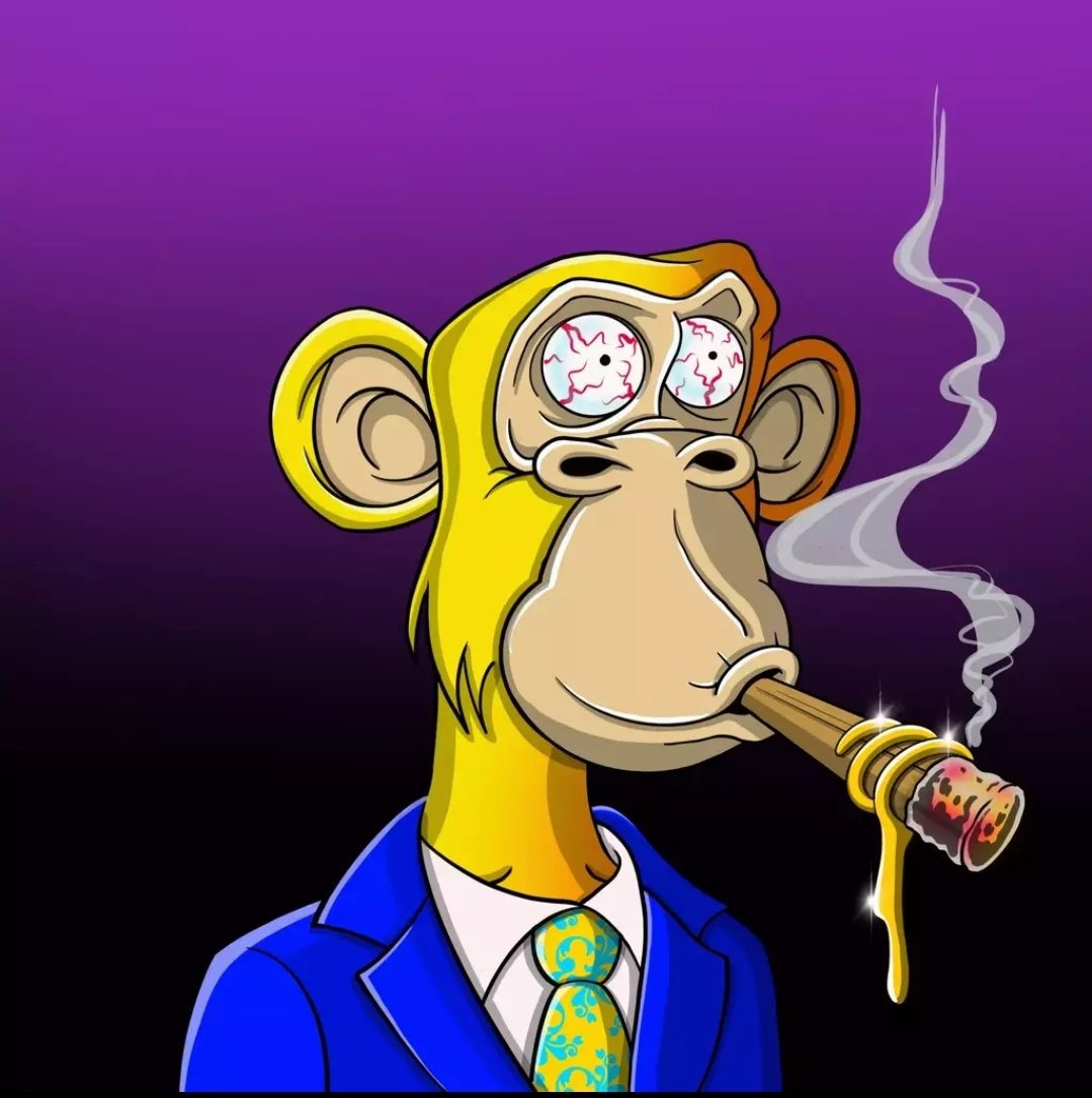 goldenalgo's tweet photo. @NFT_FOMOisReal @Gekofam @mamageko69 @boganmeister @laszlothehun @onelovealgo @NFOLDEDpaper @jackasspunkalgo @HigherApeCircle @BYHZ_ Why limit yourself to one🔥#BROKEBOIZ #StupidPunks #HAC #DOMES #AlgorandNFTs https://t.co/eR61OS70fw