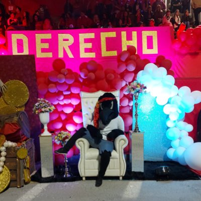 #NuevaFotoDePerfil