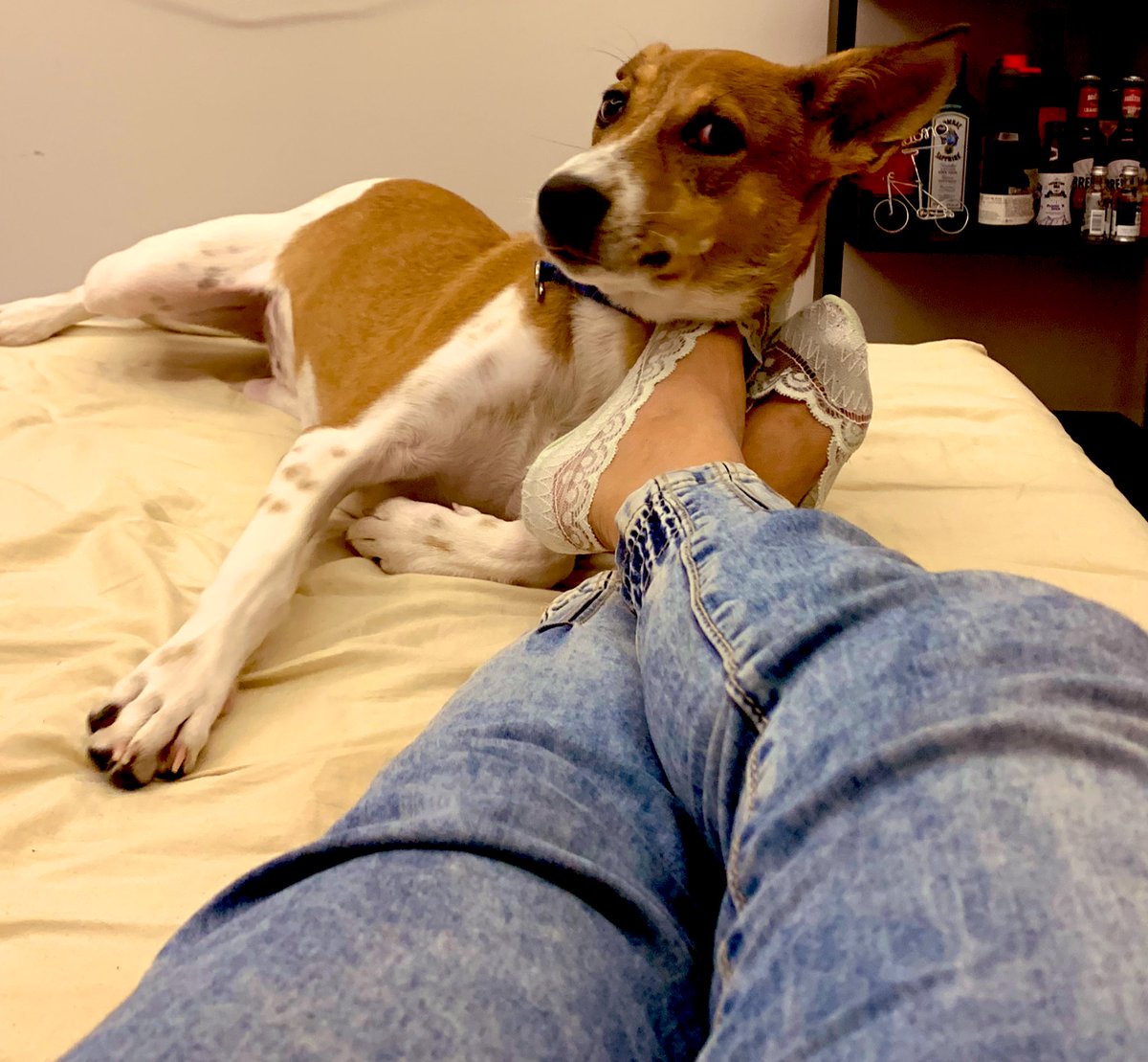 Falooly's tweet photo. #DailyDobby might as well call her Tarantina https://t.co/3mu8PURGDA