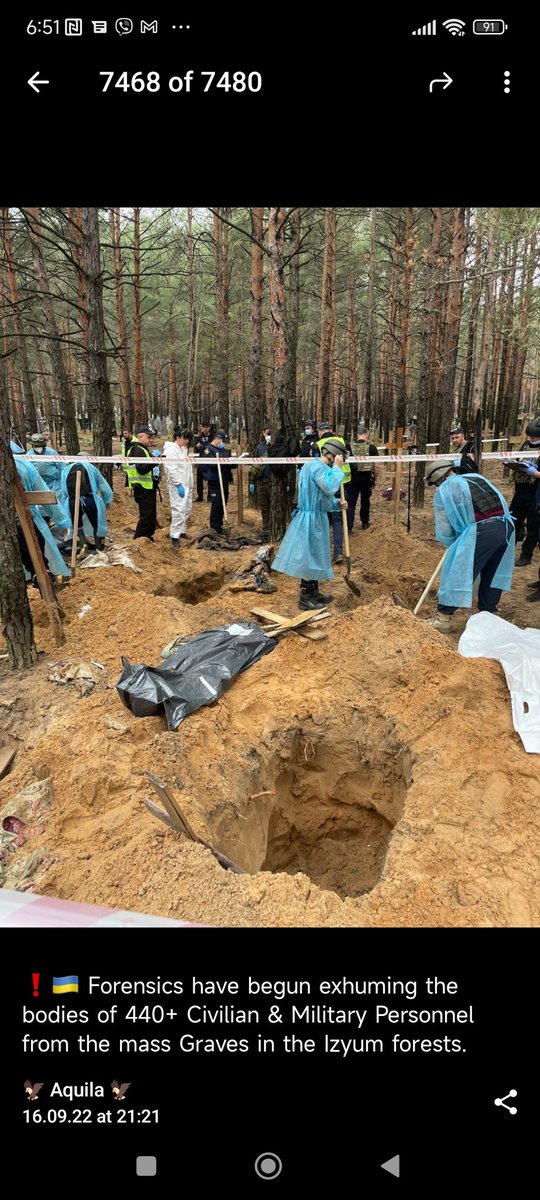 MiljenkoDragan2's tweet photo. Znači ovako počinje:

❗🇺🇦 Forensics have begun exhuming the bodies of 440+ Civilian &amp; Military Personnel from the mass Graves in the Izyum forests. https://t.co/8353WlrPZM