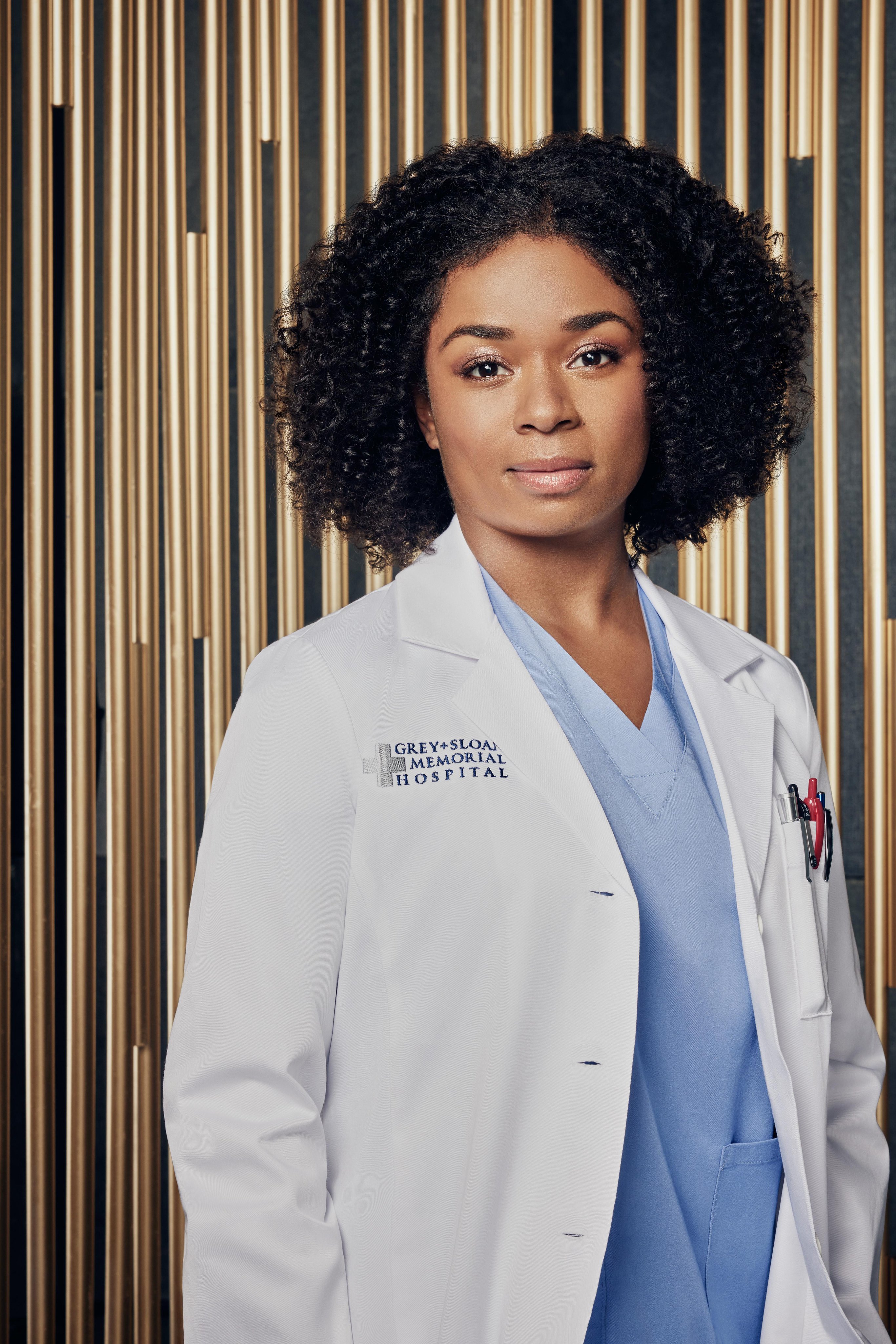 Grey's Anatomy How To Watch On Disney Plus In The UK | tunersread.com