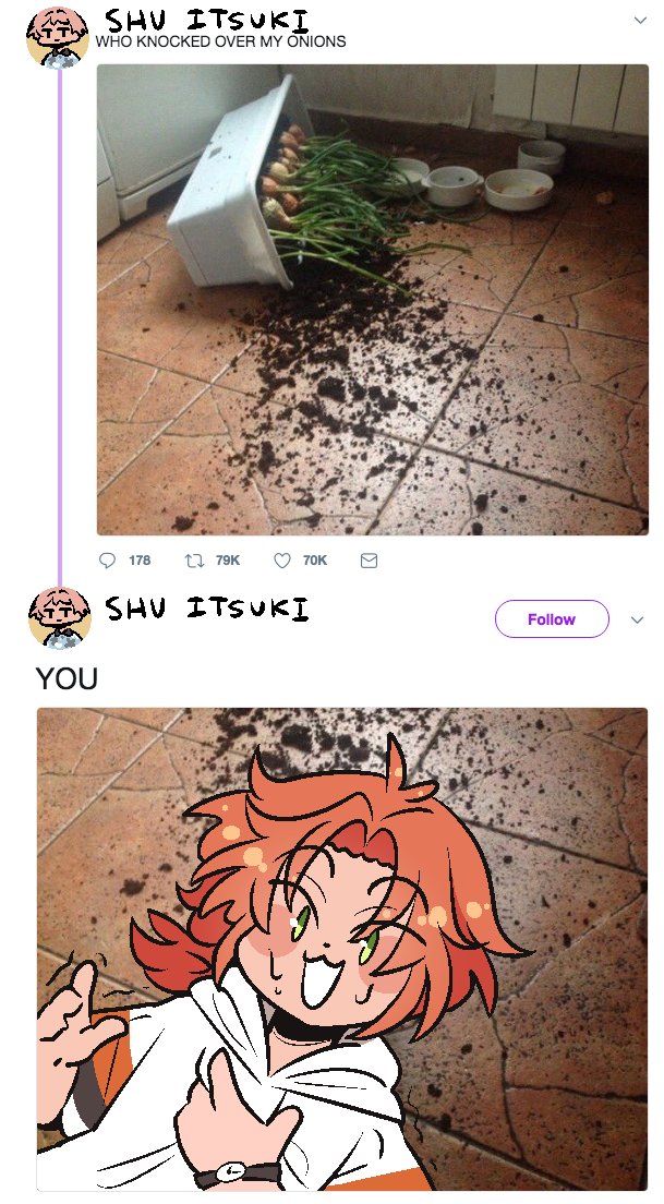 leo breaking into shus house again