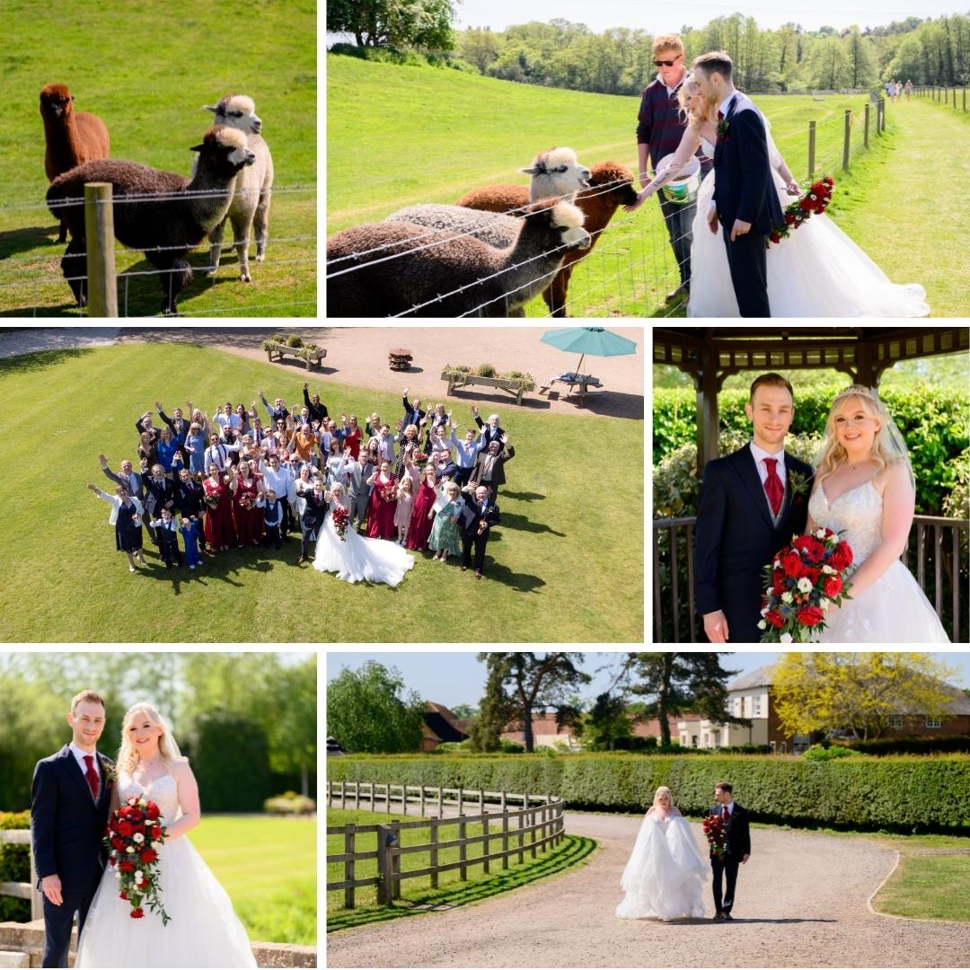 Herts Wedding Photography tweet media