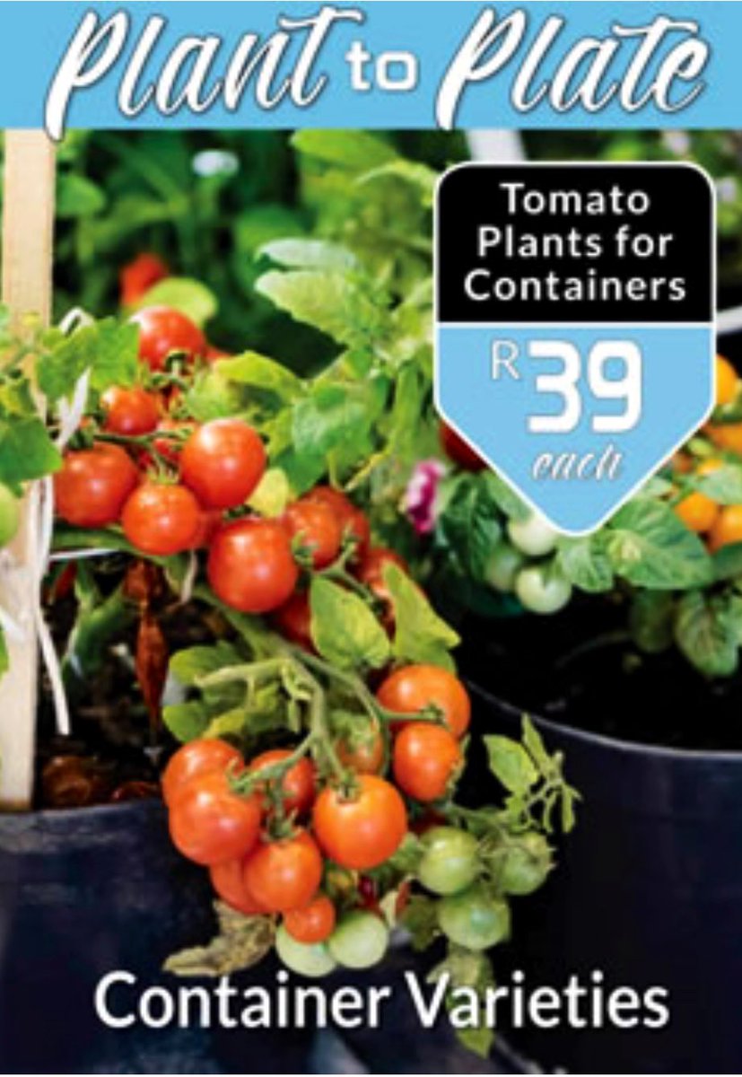 EckardsGarden's tweet photo. Everyone can grow their own whether it’s a full on veggie patch or containers on the patio or courtyard with tomatoes or strawberries. #growingtip: Feeding your veggies with organic fertiliser boosts the flavour? 🌸  #eckardsgarden #growyourown #growsumyum https://t.co/dsU9Xp1sK7