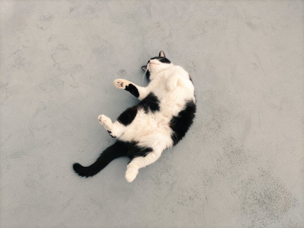 Yoko様用(⁠ノ⁠◕⁠ヮ⁠◕⁠)⁠ノ⁠*⁠.⁠✧　① s-l400.jpg