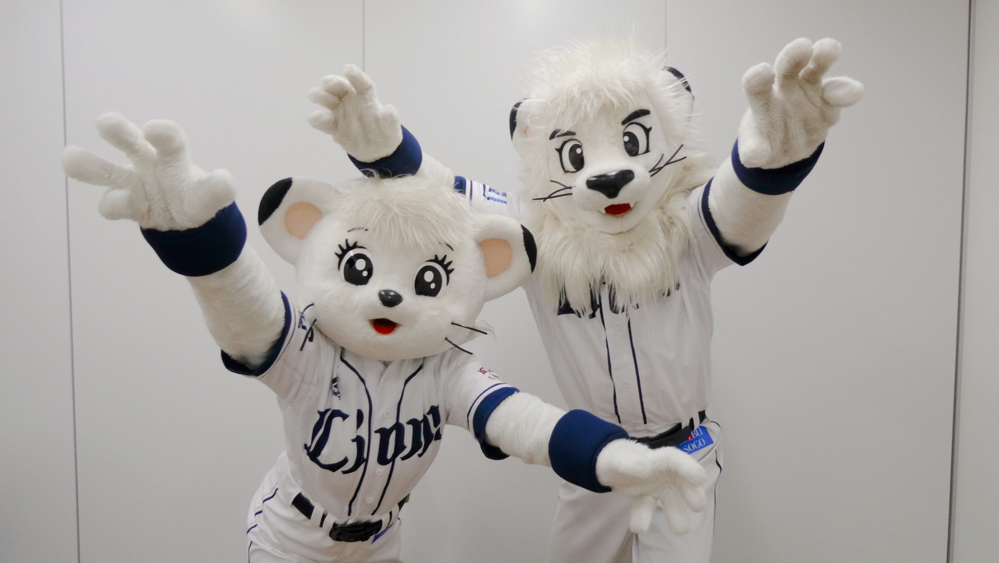 ライナ Lions Lina Twitter