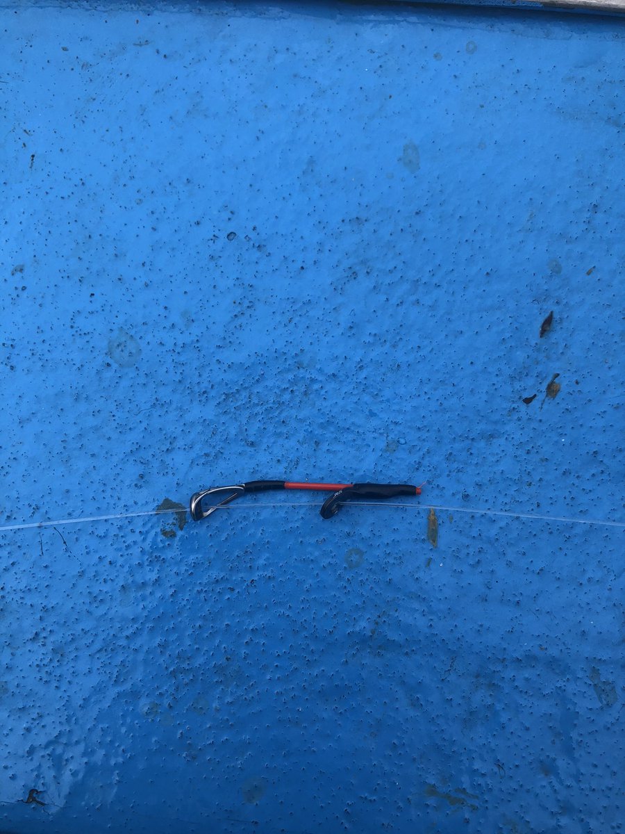 本日の釣果。
テンヤなのにメートルなし11本。
と、これ。