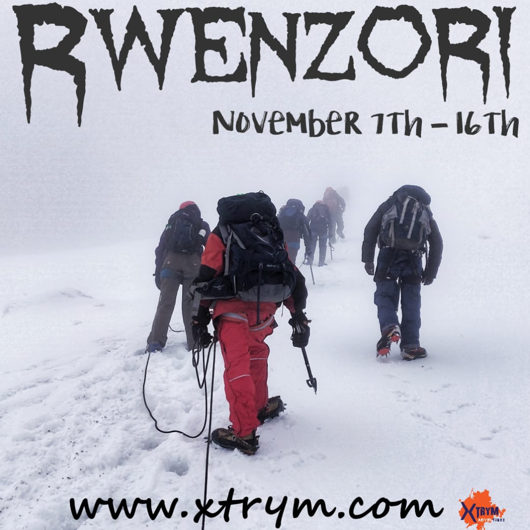 Xtrym Adventures tweet media