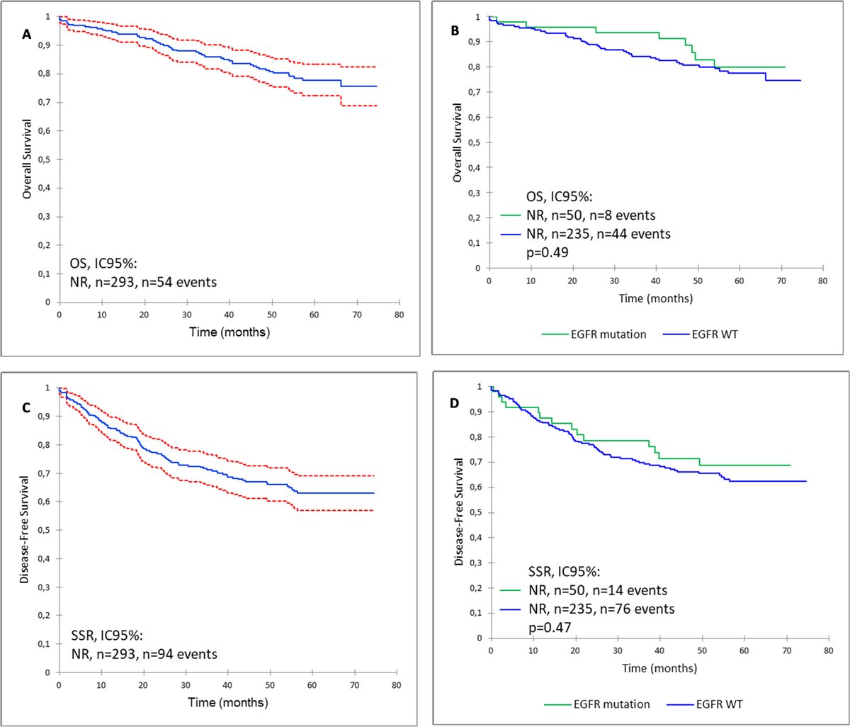 Outcome of patients with resected early-stage NSCLC and EGFR mutations: Results from the IFCT biomarkers France study In resected stage I–II NSCLC, #EGFR mutations were found in 12.9% of cases, which had no significant impact on DFS and OS. Read more: bit.ly/3BIiWvh