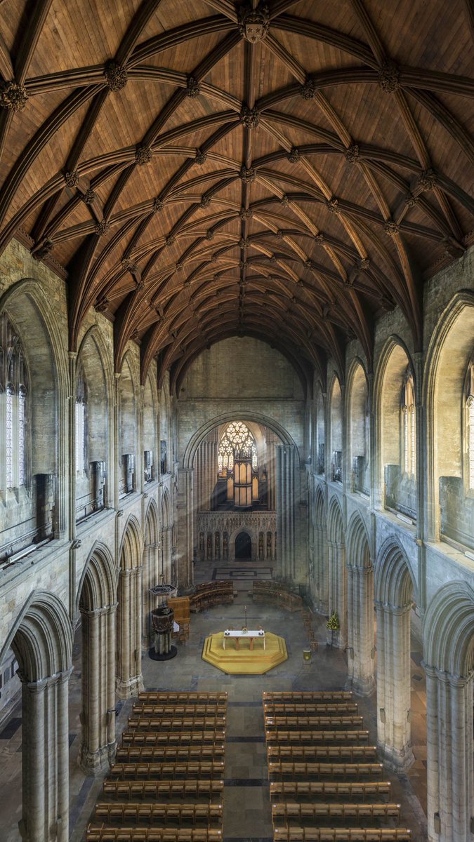 Andy Marshall 📸 tweet media