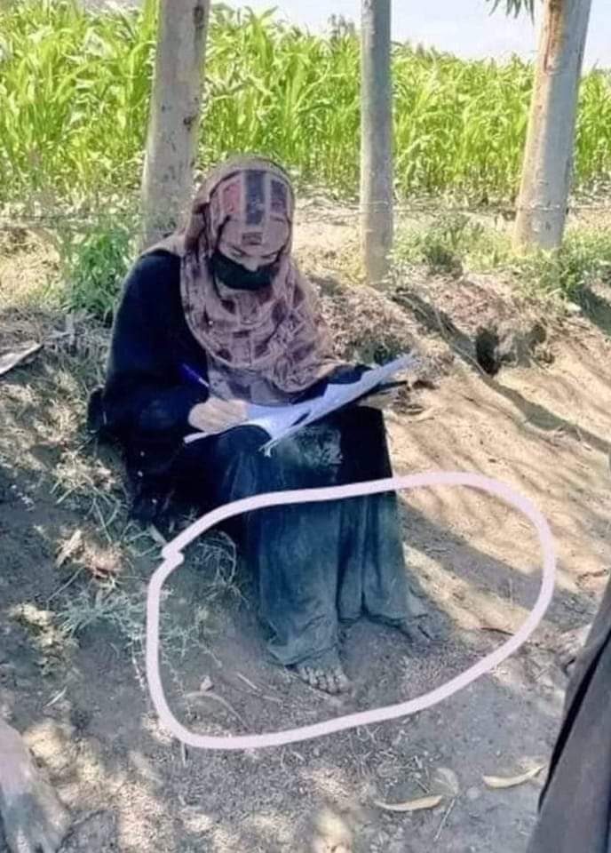 Ksaraikstan's tweet photo. سیلاب زدہ علاقوں کے طالب علم جو انٹرمیڈیٹ کے امتحان دے چکے ہیں اور یونیورسٹی داخلے کے خواہش مند ہیں ۔مفت تعلیم اور داخلے کیلئے ہم سے رابطہ کریں۔ خاص طور پر وسیب زادیاں
اس پر اللہ کے کرم سے کام شروع ہو چکا ہے ۔
ہم سب نے مل جل کر ایک دوسرے کی مدد کرنی ہے
🙏
#صباحت_عروج
#وسیب https://t.co/PTSzMQezwg