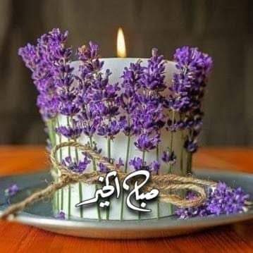 srhb2000's tweet photo. @Haya12abdulaziz https://t.co/9jwMXLcAZX