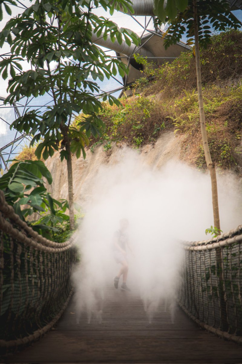has_kerai's tweet photo. An eco-park with an educational focus, with artificial biomes filled with plants from around the world.
🙋♂️Can we have one over here too, please?
#EdenPhotoComp @EdenProject https://t.co/YBnbGVTgJH