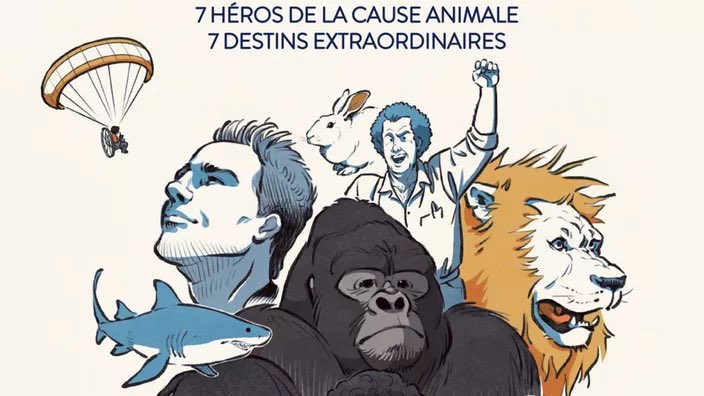 Olivier Delcroix tweet media