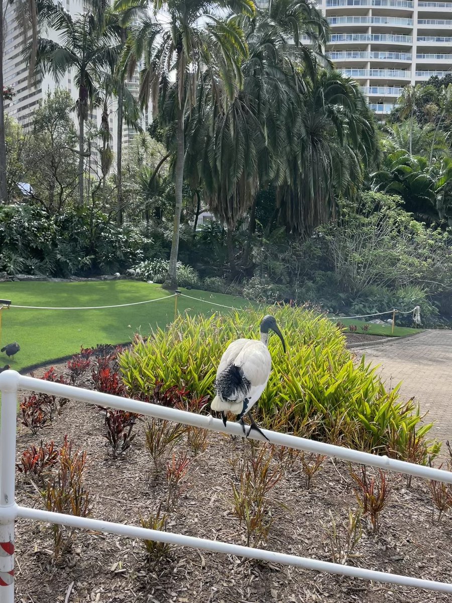 Ruairi 🇺🇦 tweet media