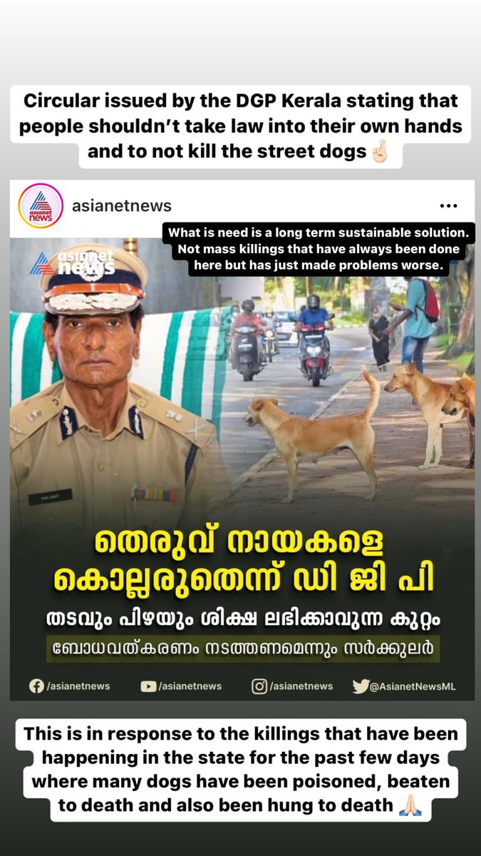muddyhounds_'s tweet photo. Yes, let's all raise our voice for a sustainable solution for this issue. Mass Killings are not the answer. Vaccinate Sterilize and Feed. @PMOindia @CMOKerala @BJP4keralam @HSIGlobal @pfaindia #savestreetdogs #standupfordogs #SaveKeralaDogs @Manekagandhibjp @TheKeralaPolice 👏👏 https://t.co/vfVE6OZJEA