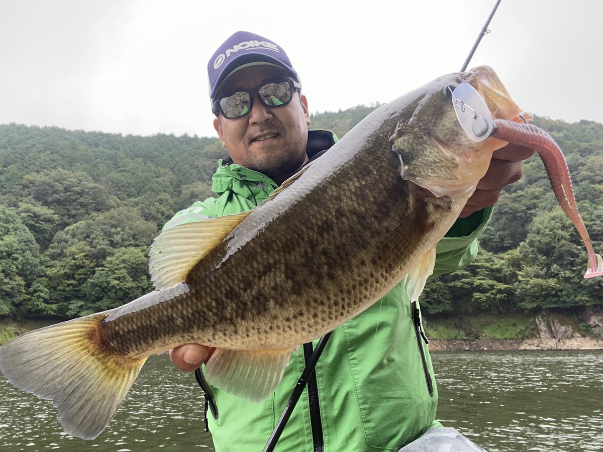 ik4UkrARsB0hqZd's tweet photo. 室生ダムに来たけどタックルバック忘れました…💧

とりあえずリグってあったルアーだけでサクサクッと釣っときましたが、ロストしたので強制終了😩

帰ります…。

#NOIKE
#スモーキンスイマー #５インチ
#DreamExpressLures
#フランケンジグヘッド
#室生ダム #オカッパリ
#釣行時間30分 https://t.co/3AsMcega7m
