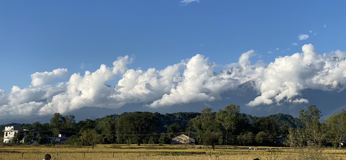 💙⛅️

#HimachalPradesh