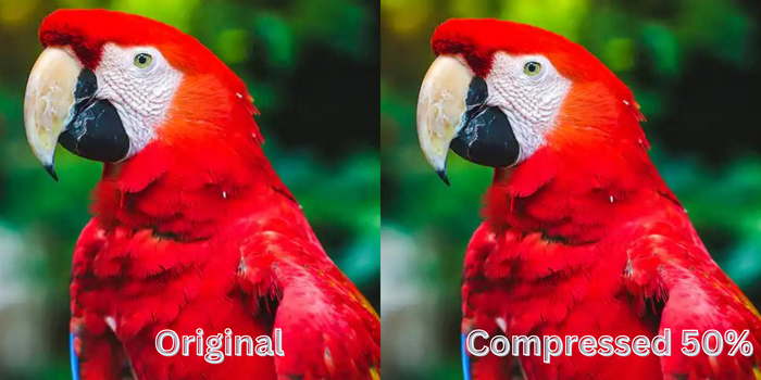 JPEGCompressor's tweet photo. Optimize the image size without changing the image size and minimizing the clarity of the original image by using our site : https://t.co/gHh9TD07Qe
#imagecompress #jpegcompressor #imageoptimize https://t.co/ZjslHLhvTP