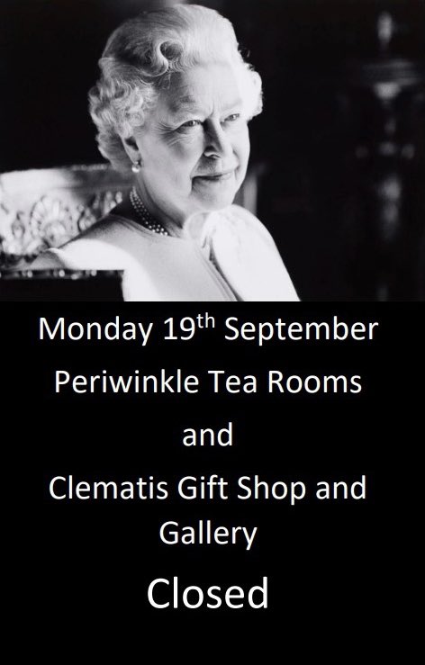 MillCloseSol's tweet image. 