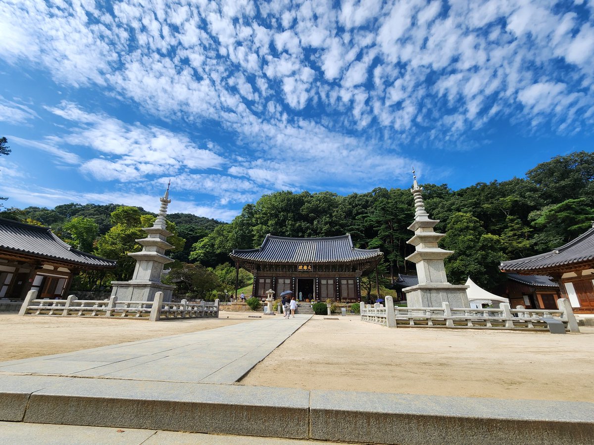 김경구(만팔당 부당주/초보당 코치) tweet media