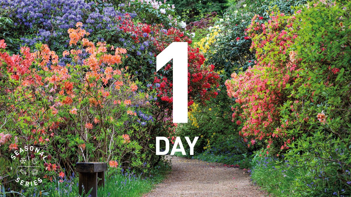 Good luck to everyone running in the <a href="/seasonal_series/">Seasonal Series</a> pilot 10K tomorrow at Leonardslee Gardens 🏃🍃

This is a fantastic opportunity to be part of the first ever running event in these beautiful grounds. So take your time, enjoy it and take pictures! 📸

#running #trailrunning