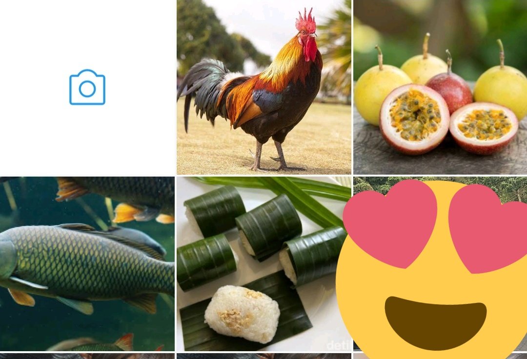 JaeominNa's tweet photo. @hoijinni @kimwuseokie @kyujinul @HANBlNY Jadi UCHIHA ngebawain kalian ini semua! Lemper, ikan, markisa, ayam. @Marvailles https://t.co/9mwfqX0sQ0