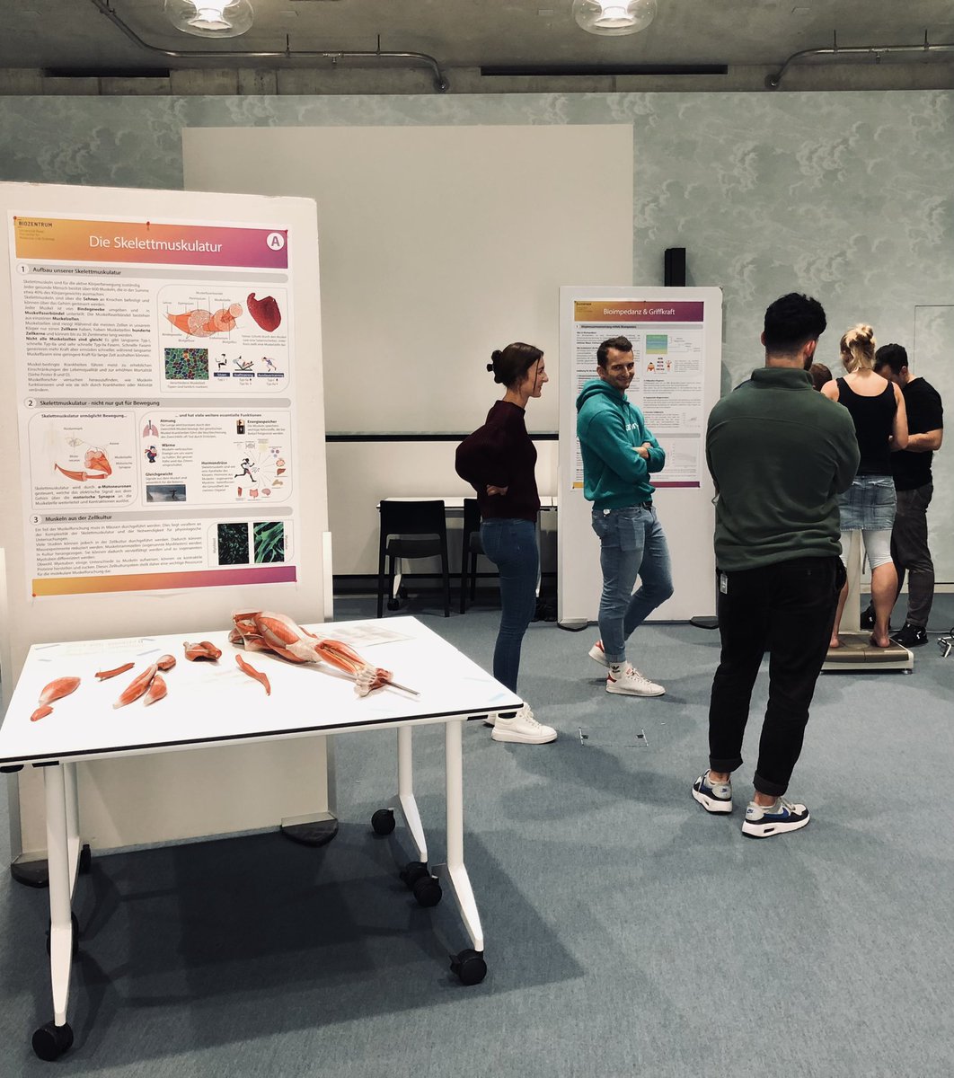 Join the @RueggLab & @HandschinLab at the @biozentrum #openhouseday today! Learn about how muscles work and break down during disease - come measure your grip strength 💪💪 and body composition 🔎