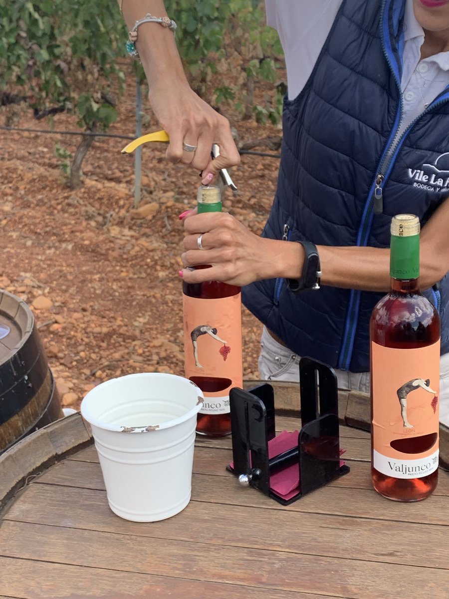 Blog Hedonista® by José María Toro tweet media