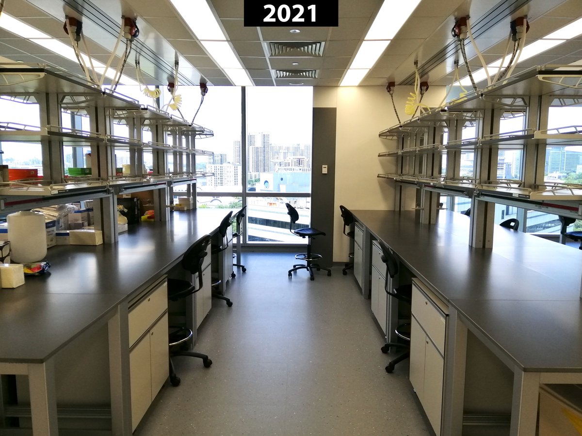 Julius Fredens tweet media