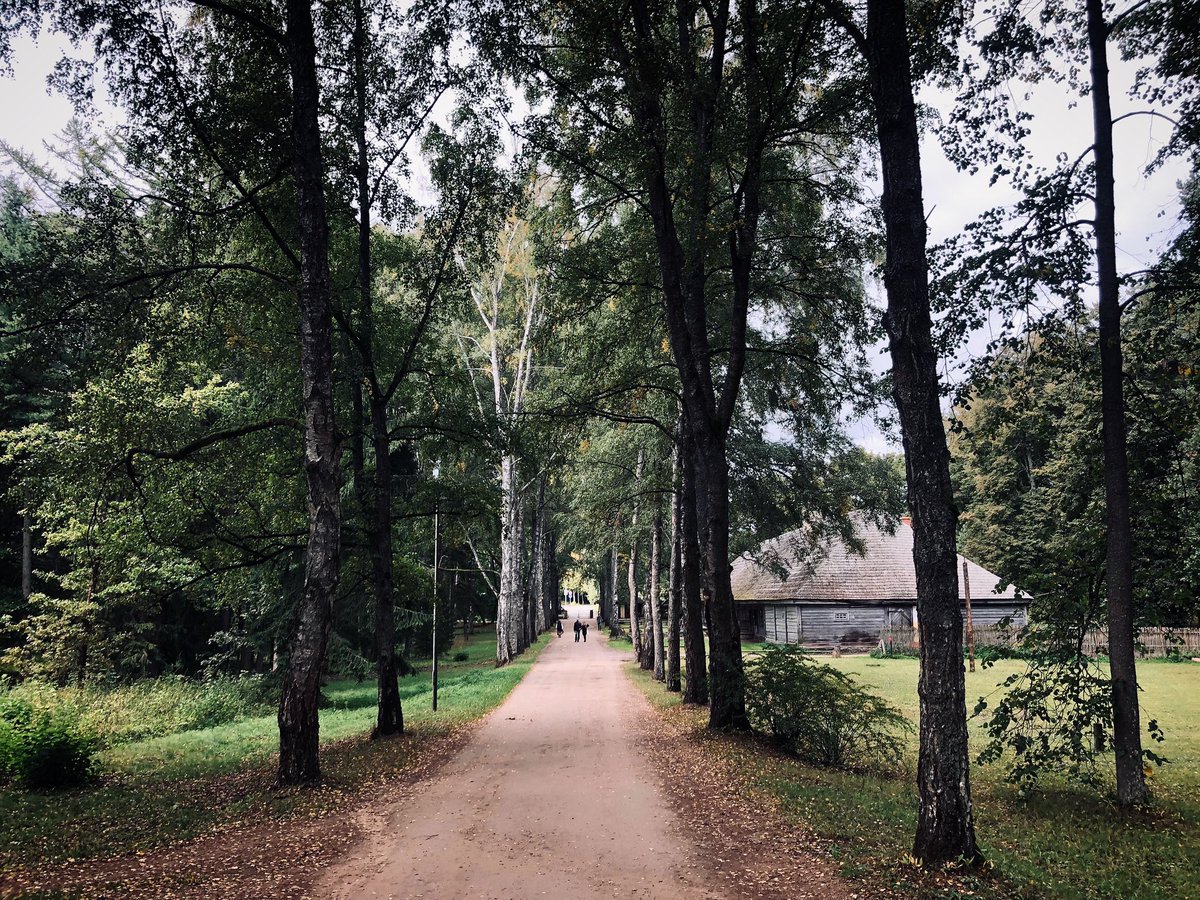 vkoralis's tweet image. Brīvdabas muzeja aleja vēl cenšas  pretoties rudenim
#brīvdabasmuzejs #telefonfoto