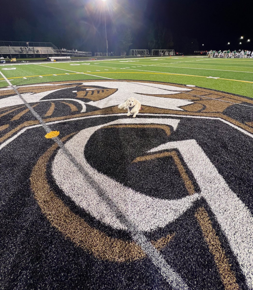 Congratulations <a href="/GnhsFootball/">GNHS Football</a> on your homecoming win last night! 💛🖤 <a href="/GNHSAthletics/">GN Knights Athletics</a> <a href="/GrayslakeNorth/">Knight Pride</a>