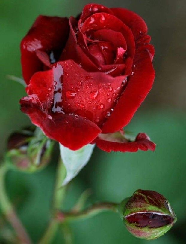 Valentina (@valenti66197491) on Twitter photo 