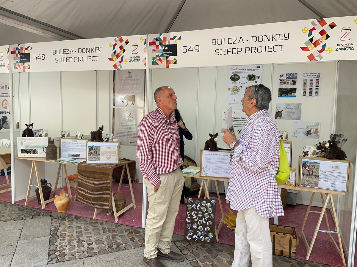 ITACYL's tweet photo. Qué mejor escaparate para presentar nuestro proyecto #Donsheep #FEADER que @FromagoZamora Y si añadimos una cata de queso de mezcla con leche de burra...nos queda un día redondo🧀
¿Lo has probado? ¡Cuéntanos qué te ha parecido!
#ITACyL @HZorita_es #BULEZA
https://t.co/zJLVnxx4Tw https://t.co/ztmmIPYGQQ