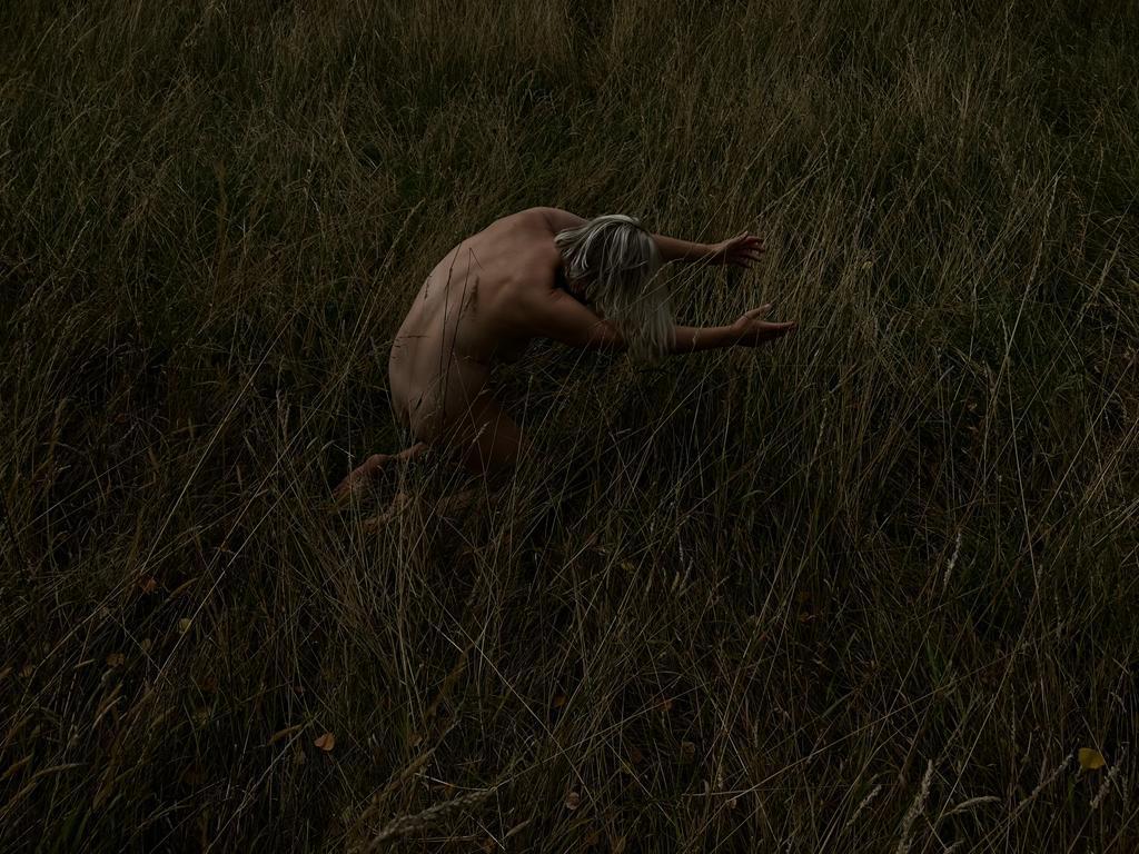 Alison Sudol tweet media