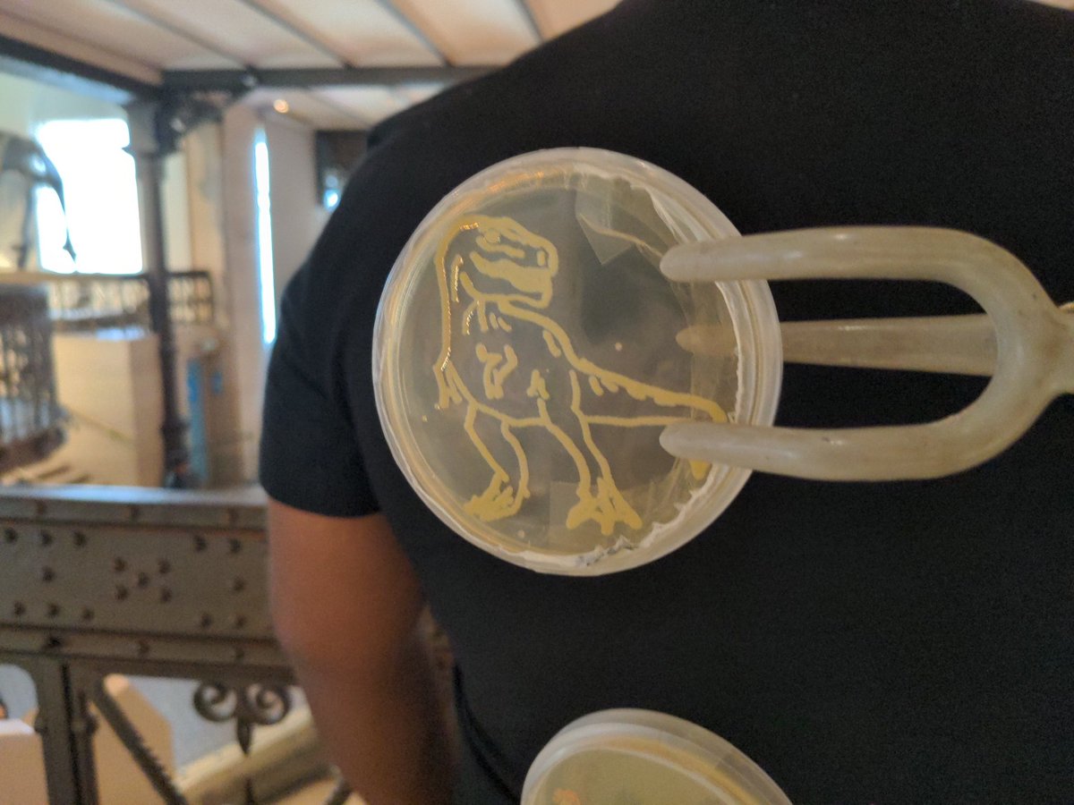 Fantastic microbiology display from <a href="/YBSMicrobiology/">Young Belgian Society for Microbiology (YBSM)</a> at @RBINSmuseum on #InternationalMicroorganismDay . <a href="/EuropaBio/">EuropaBio</a> sees the future of the amazing scientists that made this happen. Bravo!