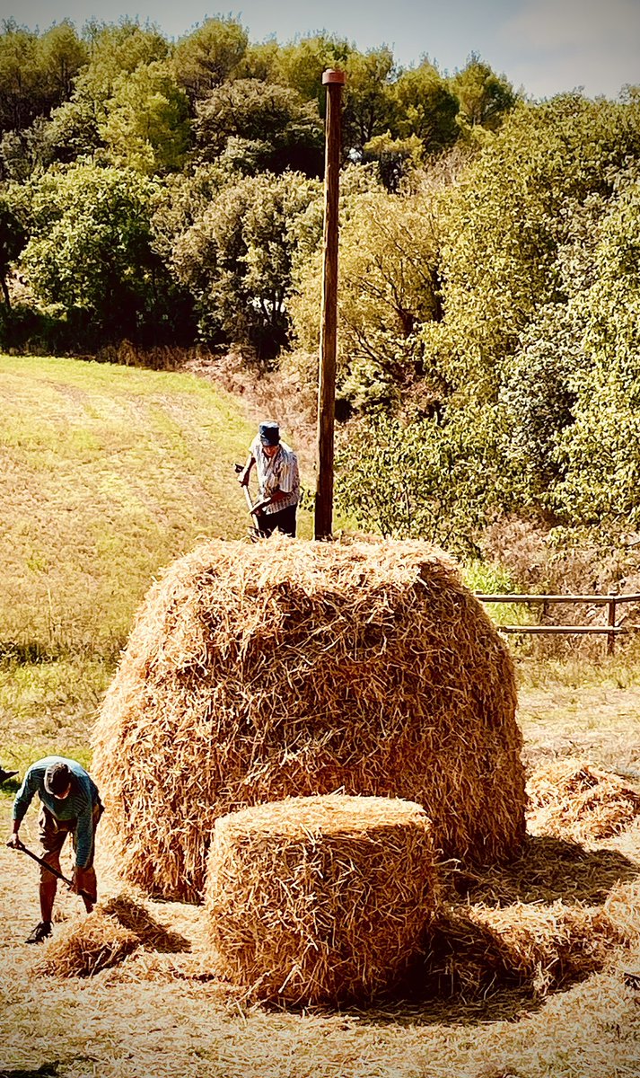 <a href="/hilariumfest/">hilariumfestival</a>