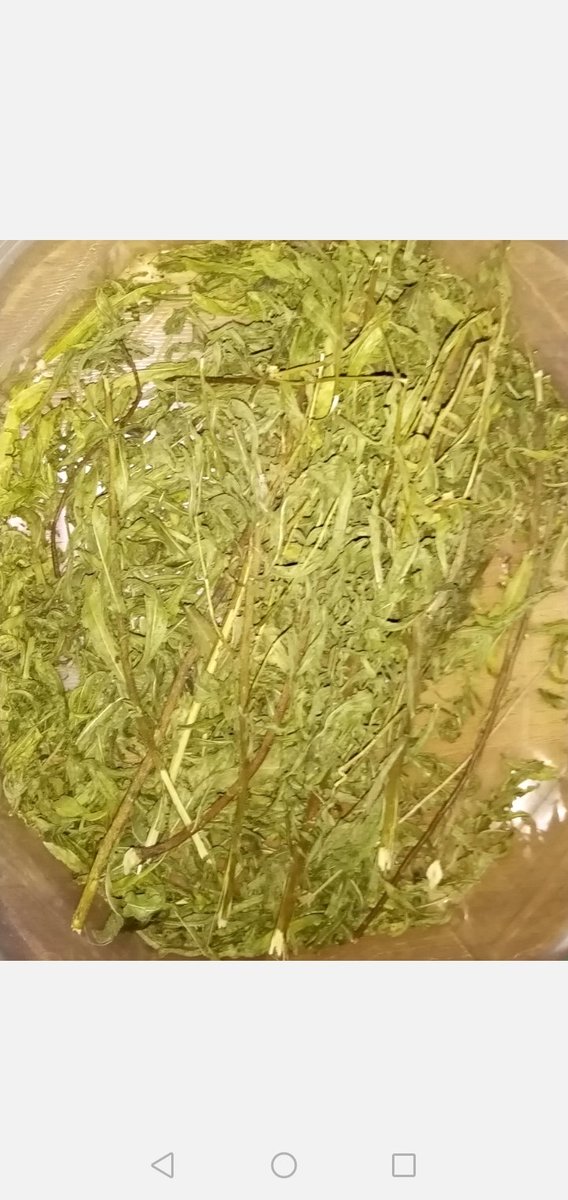 Erkam (@darulerkamkk) on Twitter photo 