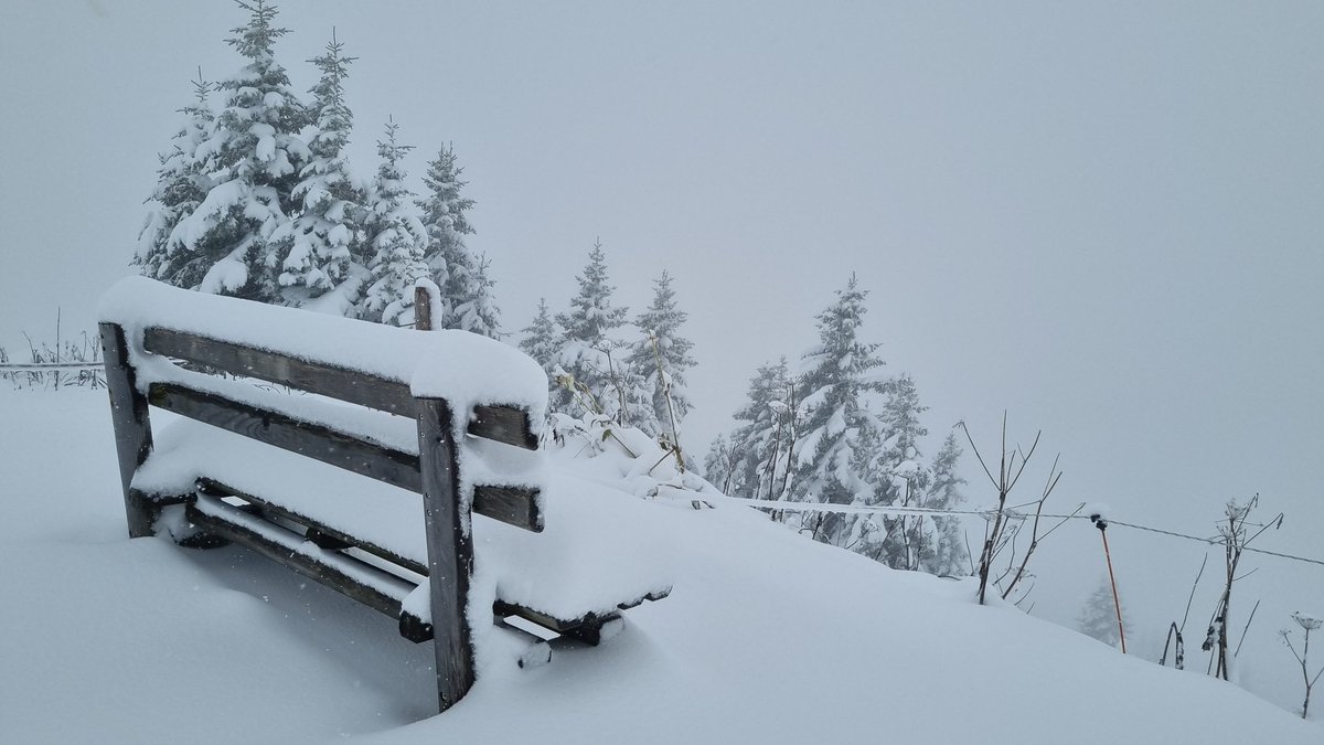 hansterbraak's tweet photo. Op 2000m ligt nu rond de 25cm #sneeuw. Er kan t.m. morgen nog 15cm bij vallen.
#Mittelberg https://t.co/xot6HD3c8m