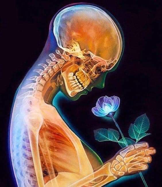 "For every one step that you take in the pursuit of higher knowledge, take three steps in the perfection of your own character."

~Rudolf Steiner