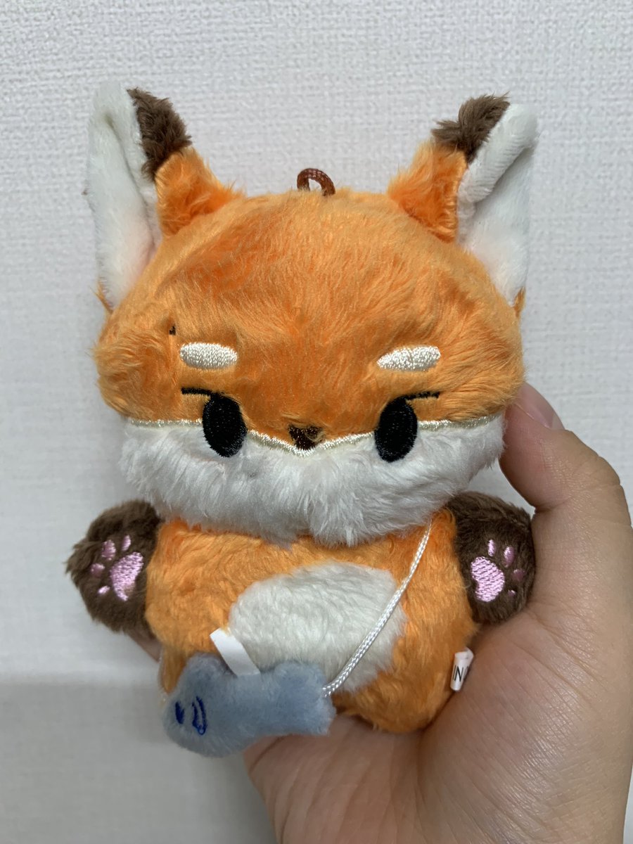 IM_imkitty's tweet image. 이렇게 보드라울 수 있는건가 싶어🧡🦊